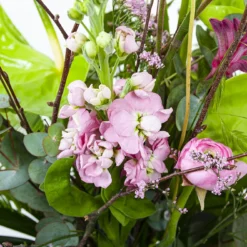 Boeket Anthurium Middel -Planten Eden Verkoopwinkel boeket anthurium boeketten 3