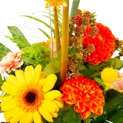 Boeket Beatrix Klein -Planten Eden Verkoopwinkel boeket beatrix boeketten 4 3 2