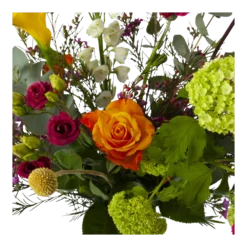 Boeket De Lente Groot 8 Boeket De Lente Groot -Planten Eden Verkoopwinkel boeket de lente boeketten 3 1