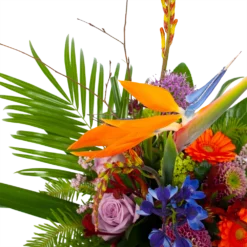 Boeket Deluxe Special Voor Jou Klein -Planten Eden Verkoopwinkel boeket deluxe special voor jou boeketten 3