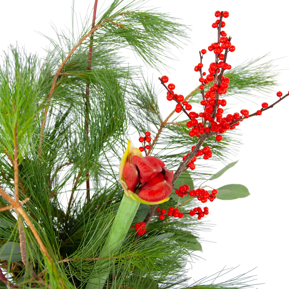 Boeket Deluxe Winter Groot 2 Boeket Deluxe Winter Groot - Afbeelding 2