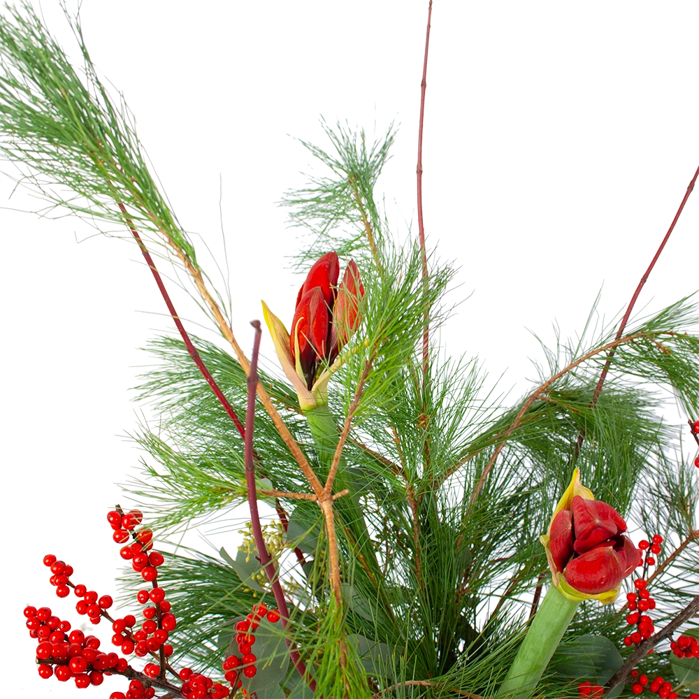 Boeket Deluxe Winter Groot 3 Boeket Deluxe Winter Groot - Afbeelding 3