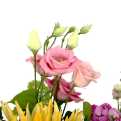 Boeket Eline Middel -Planten Eden Verkoopwinkel boeket eline boeketten 4