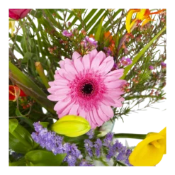 Boeket Heerlijke Lente Deluxe Klein -Planten Eden Verkoopwinkel boeket heerlijke lente deluxe boeketten 3