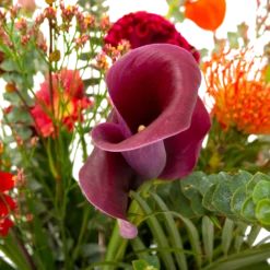 Boeket Herfst Warmte Groot -Planten Eden Verkoopwinkel boeket herfst warmte groot boeketten 4