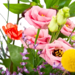 Boeket Kleurrijk Geplukt Klein -Planten Eden Verkoopwinkel boeket kleurrijk geplukt boeketten 3 1