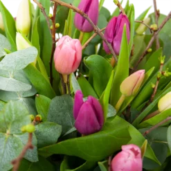 Boeket Kleurrijke Tulp Middel -Planten Eden Verkoopwinkel boeket kleurrijke tulp boeketten 3 2