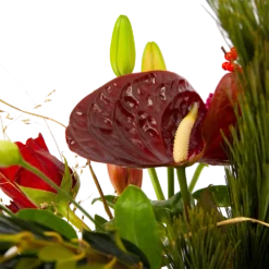 Boeket Liefdevolle Kerst Middel -Planten Eden Verkoopwinkel boeket liefdevolle kerst boeketten 4 1 1