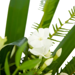 Boeket Liefdevolle Winter Middel -Planten Eden Verkoopwinkel boeket liefdevolle winter boeketten 3 1