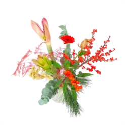 Planten Eden Verkoopwinkel -Planten Eden Verkoopwinkel boeket luxe winter boeketten 2 1 1