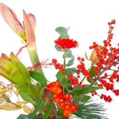 Boeket Luxe Winter Groot 7 Boeket Luxe Winter Groot -Planten Eden Verkoopwinkel boeket luxe winter boeketten 3 1 1