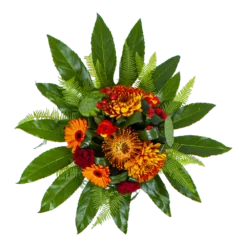 Planten Eden Verkoopwinkel -Planten Eden Verkoopwinkel boeket piet boeketten 2 2