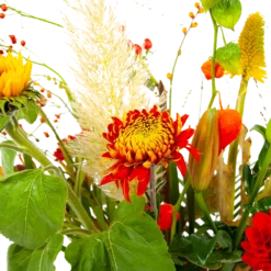 Boeket Pluim Van Het Najaar Groot -Planten Eden Verkoopwinkel boeket pluim van het najaar groot boeketten 4