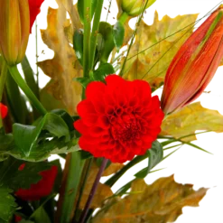 Boeket Pluim Van Het Najaar Klein -Planten Eden Verkoopwinkel boeket pluim van het najaar klein boeketten 3