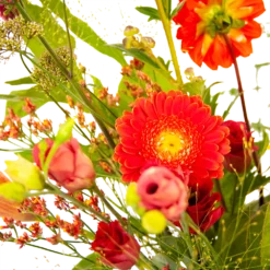 Boeket Plukgeluk Groot -Planten Eden Verkoopwinkel boeket plukgeluk groot boeketten 3