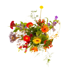 Planten Eden Verkoopwinkel -Planten Eden Verkoopwinkel boeket plukgeluk klein boeketten 2