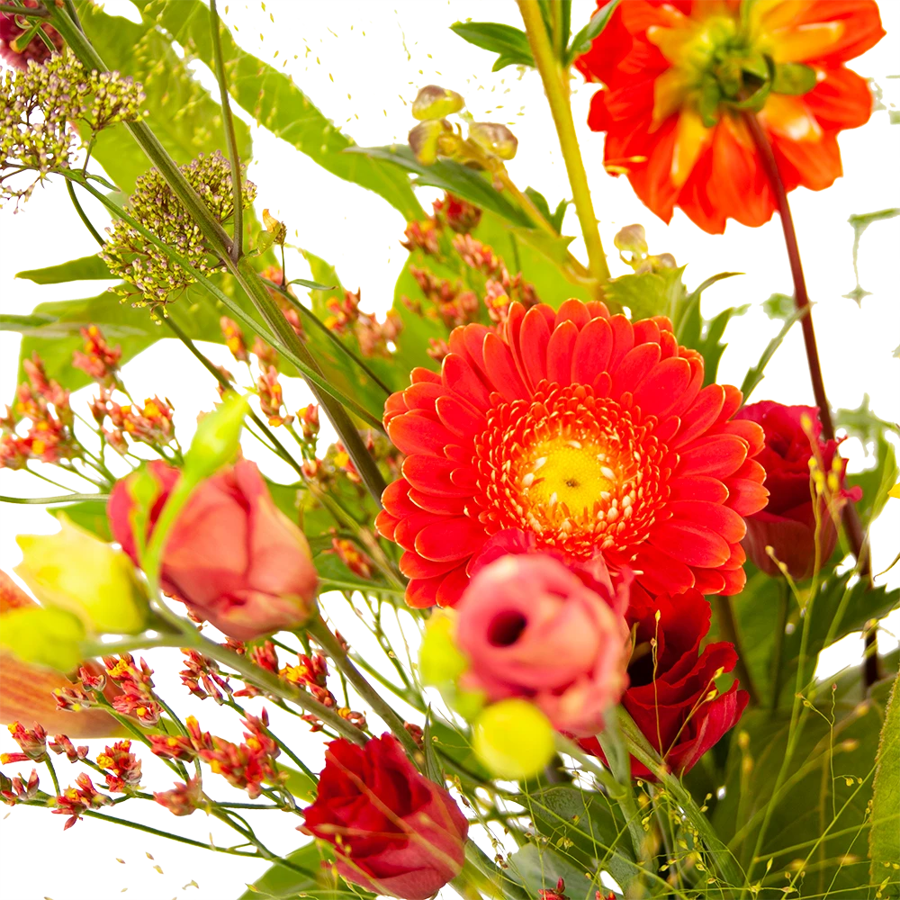 Boeket Plukgeluk Klein 3 Boeket Plukgeluk Klein - Afbeelding 3