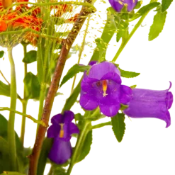 Boeket Plukgeluk Middel 9 Boeket Plukgeluk Middel -Planten Eden Verkoopwinkel boeket plukgeluk middel boeketten 4