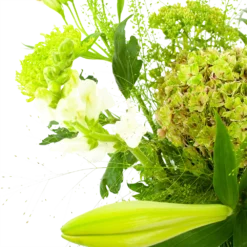 Boeket Puur Natuur Groot 8 Boeket Puur Natuur Groot -Planten Eden Verkoopwinkel boeket puur natuur boeketten 3 1