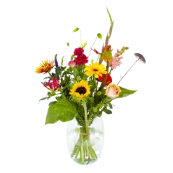 Planten Eden Verkoopwinkel 17 Boeket Vlinder Middel