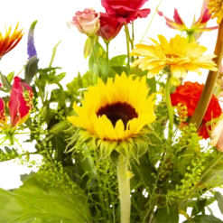 Boeket Vlinder Groot 8 Boeket Vlinder Groot -Planten Eden Verkoopwinkel boeket vlinder boeketten 3 3 1