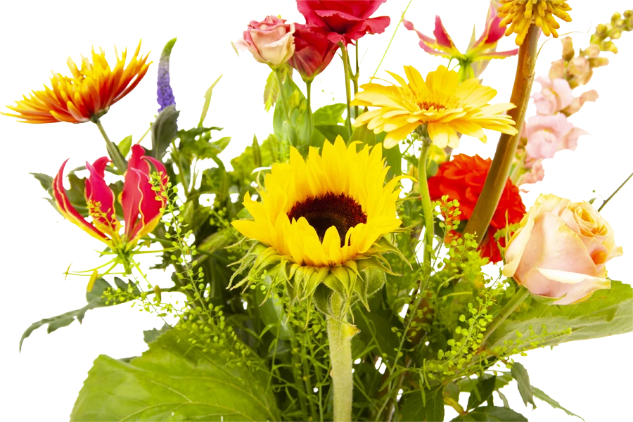 Boeket Vlinder Middel 3 Boeket Vlinder Middel - Afbeelding 3