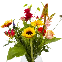 Boeket Vlinder Groot 9 Boeket Vlinder Groot -Planten Eden Verkoopwinkel boeket vlinder boeketten 4 3 1