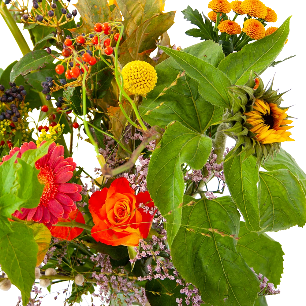 Boeket Vrolijk Klein 4 Boeket Vrolijk Klein - Afbeelding 4