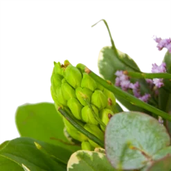 Boeket Vrolijk Seizoen Middel -Planten Eden Verkoopwinkel boeket vrolijk seizoen boeketten 3