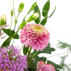 Boeket Vrolijke Verrassing Groot -Planten Eden Verkoopwinkel boeket vrolijke verrassing boeketten 3