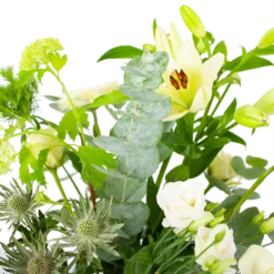 Boeket Wit Gebaar Groot -Planten Eden Verkoopwinkel boeket wit gebaar boeketten 3 1