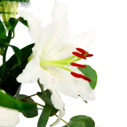 Boeket Witte Winter Middel -Planten Eden Verkoopwinkel boeket witte winter boeketten 4 2