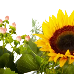 Boeket Zonnestraal Groot -Planten Eden Verkoopwinkel boeket zonnestraal boeketten 4 3