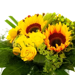 Boeket Zonnetje Middel -Planten Eden Verkoopwinkel boeket zonnetje boeketten 3 1