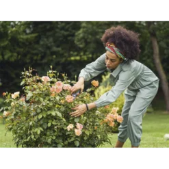 Comfort Snoeischaar - Gardena 5 Comfort Snoeischaar - Gardena -Planten Eden Verkoopwinkel comfort snoeischaar gardena 3 7