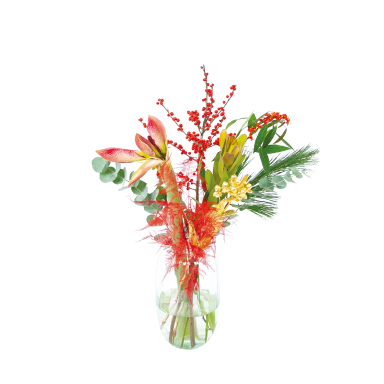 Planten Eden Verkoopwinkel 19 Planten Eden Verkoopwinkel -Planten Eden Verkoopwinkel 1